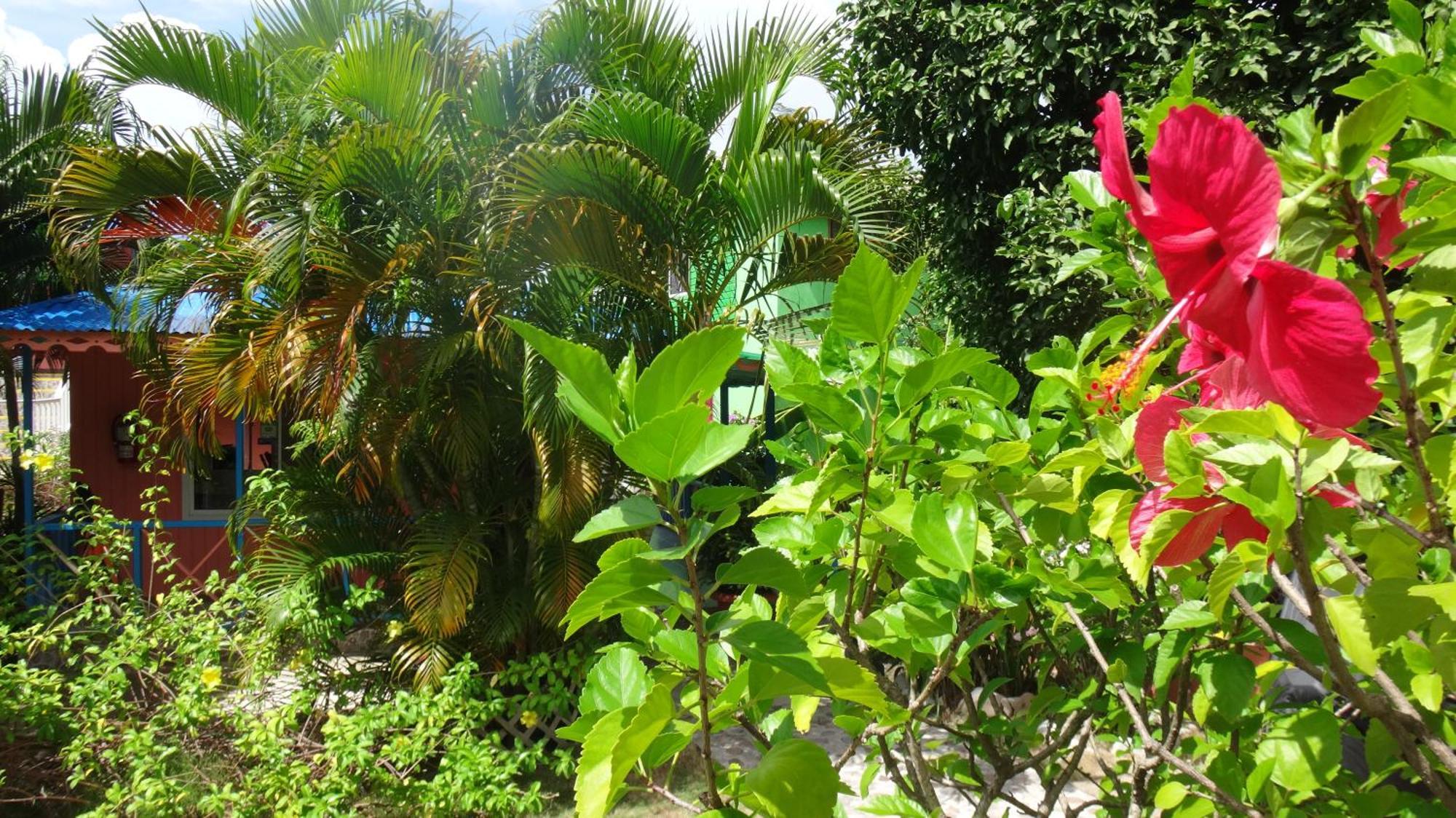 Hotel Posada Del Mar Fresh Water Bay Exterior photo